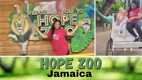 Day At The Zoo Hope Zoo Jamaica Youtube
