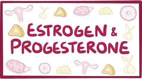 Estrogen And Progesterone Osmosis