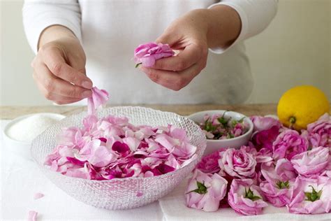 11 Brilliant Ways To Use Rose Petals Youve Got To Try Fresh Rose