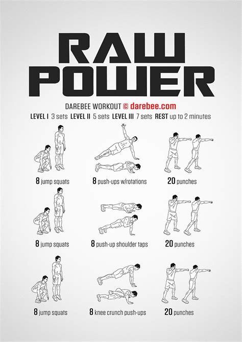 Raw Power Workout Workout Boxer Workout Fighter Workout