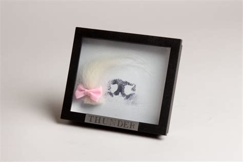 Framed Ink Nose Print With Fur Clipping Pet Urns And Pet Cremation