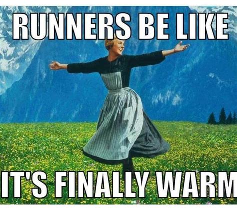 Pin By Lisa B On Exercise Mostly Running Running Memes Running Quotes Funny Running Humor