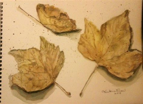 Study Fall Leaves Watercolor Autumn Leaves Fall Watercolor