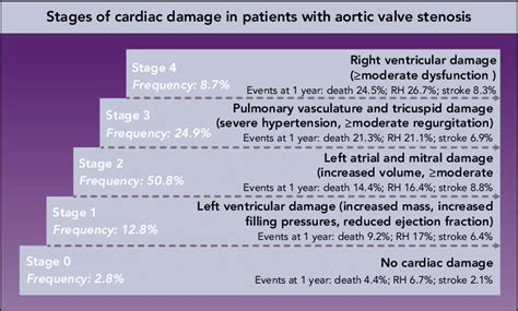 Aortic Stenosis Staging