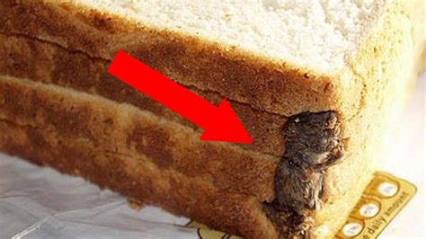 20 Strangest Things Found In Food Youtube