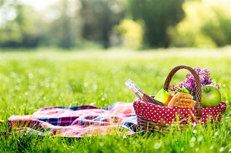 Must Haves For National Picnic Day