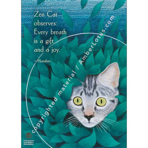 Zen Cats Secret Garden New Horizon Distributors Warehouse