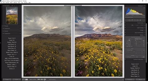 How To Do Intelligent Raw Photo Landscape Editing In Lightroom
