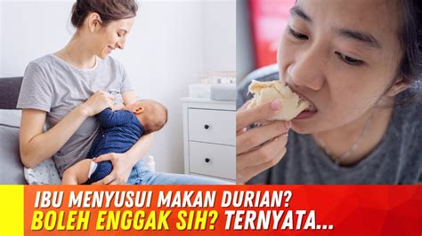 efek makan durian bagi ibu menyusui