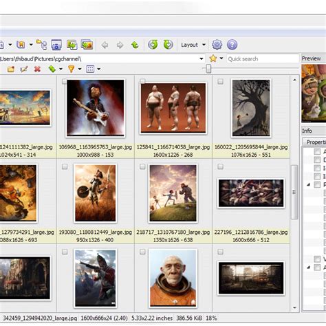 Unlike gimp, xnview offers batch processing of raw and jpeg files. Xnviewmp Xnview Full - Xnview Mp Html Und Mehr - Powerful ...