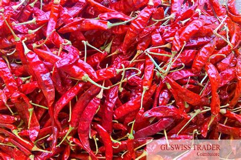 Dried Red Chilli S 334 A1 Quality At Best Price In Coimbatore