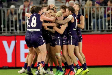 See more ideas about fremantle dockers, fremantle, dockers. Fremantle Dockers celebrate AFL win - ABC News (Australian ...