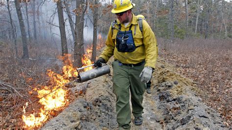 Nj State Forest Fire Service Setting Prescribed Burns At The Shore