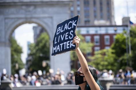 The Battle For The Racial Future Of America Pursuit By The University