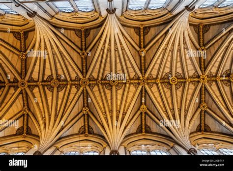England London Westminster Abbey The Nave Pattern Detail Of The The