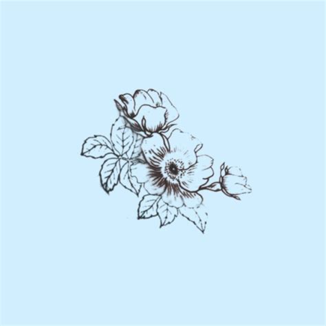 Outline Of Flowers Light Blue Aesthetic Created And