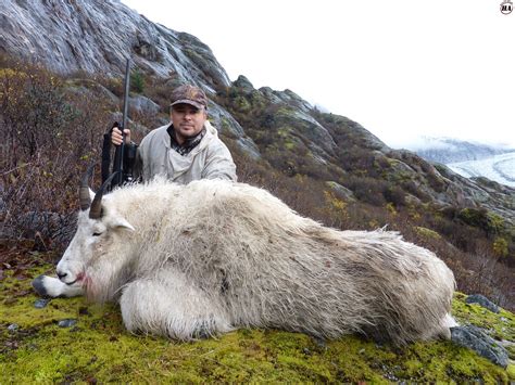 Mountain Goat Hunting Affair