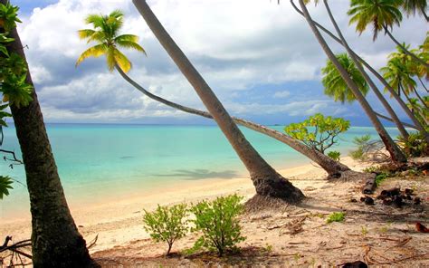 Nature Landscape Beach Palm Trees Island White Sand Tropical