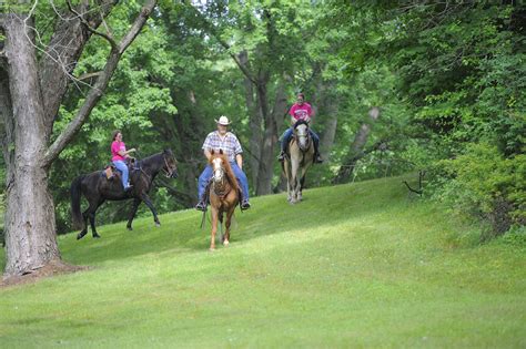 Bridle Trails - Destination Mansfield