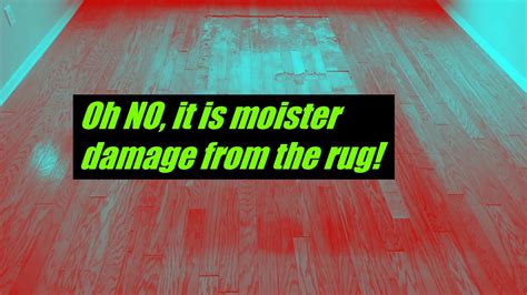 Learn how to protect hardwood floors and keep them in great shape for years. Hardwood Floor Water damage from area rug. Before and ...