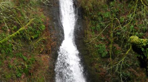 Love Letter To Oregons Waterfalls Travel Oregon