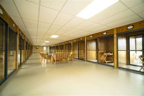 Selwyn Cattery Purpose Built Accommodation For Your Cat