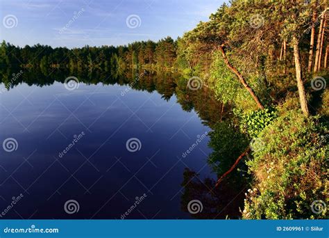 Forest Reflected On Lake Stock Image Image Of Reflecting 2609961