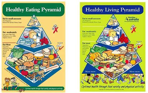 Healthy Food Pyramid Updated For The First Time In 15 Years NZ Herald