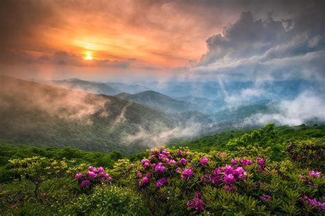 Spring flowers in asheville nc. Asheville NC Landscape Photography | Craggy Gardens Spring ...