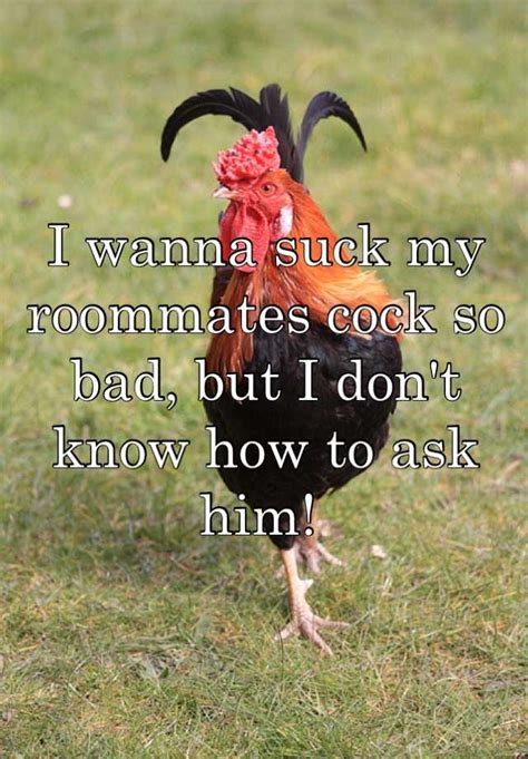 I Wanna Suck My Roommates Cock So Bad But I Don T Know How To Ask Him