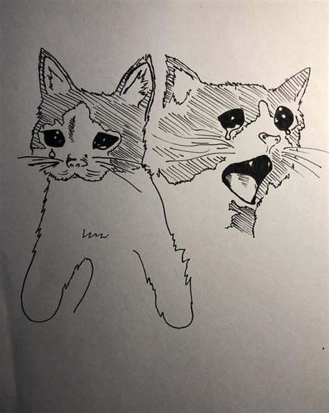 Crying Cat Meme Rdrawing