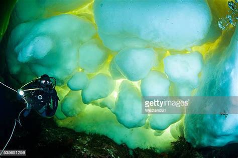Arctic Ocean Underwater Photos And Premium High Res Pictures Getty Images