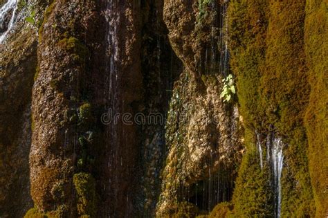 A Small Waterfall Flows Down The Mossy Rocks Grishkina Balka Karachay
