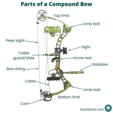 39 how to string a compound bow diagram - Diagram Online Source