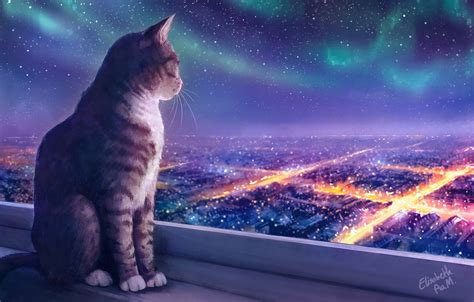 Wallpaper Lights Night Figure The City Stars Cat Cat Art Cat
