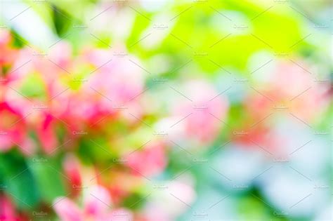 Blurred Flower Background ~ Photos ~ Creative Market