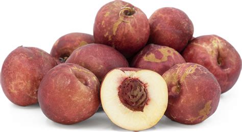 Nectaplums Information And Facts