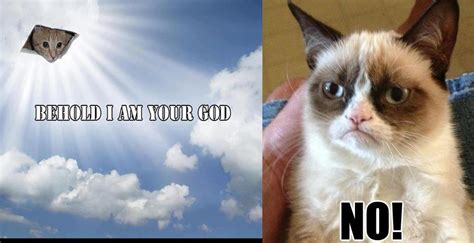 Angry Cat Memes Image Memes At