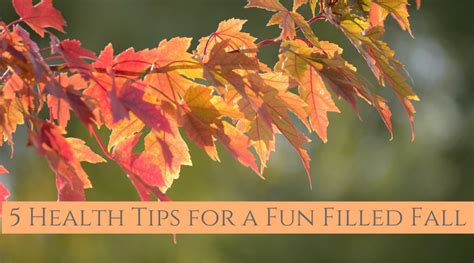 5 Health Tips For A Fun Filled Fall Alternative Health Concepts