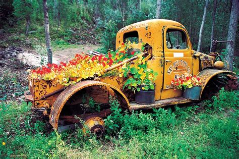 Pictures Of Old Trucks With Flowers Flowers Xmj