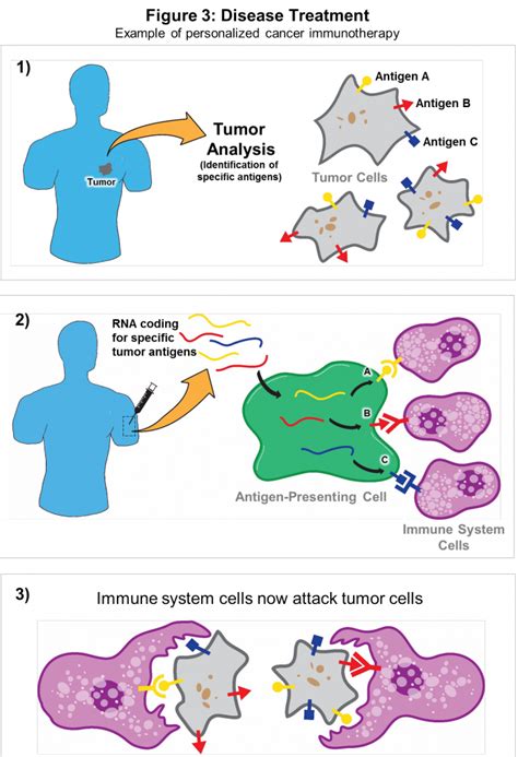 Messenger rna vaccines can be made faster than traditional vaccines. RNA vaccines: a novel technology to prevent and treat ...