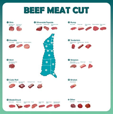 Meat Cuts Chart Printable