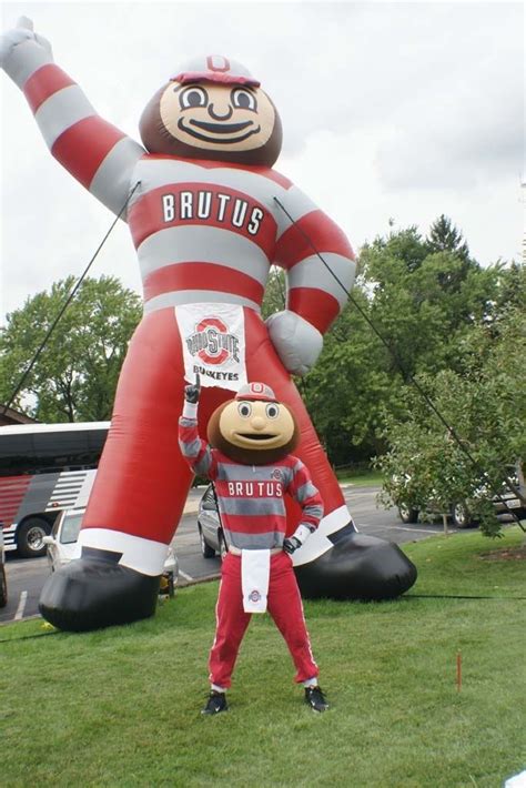 Ohio State University Brutus The Real Brutus With A Giant 20