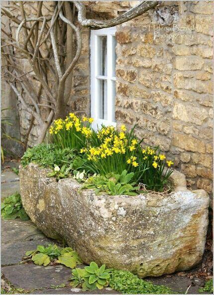 I Love The Stone Planter And The Gnarled Tree Stone Planters Garden