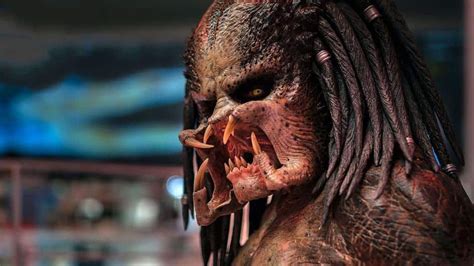 In the recent predators movie, rodriguez made it clear from the outset that he wanted schwarzenegger to make an appearance but he was still busy. The Predator movie review: A Marvel knockoff even Arnold ...