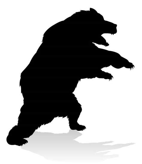 Best Grizzly Bear Standing Illustrations Royalty Free Vector Graphics