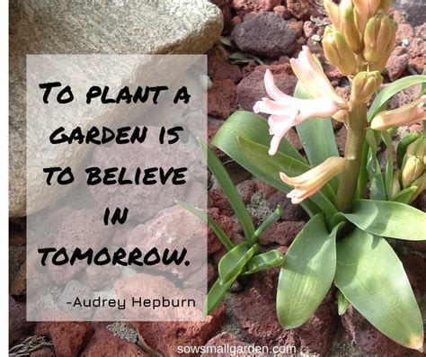 best garden quotes 60 quotes sow small garden