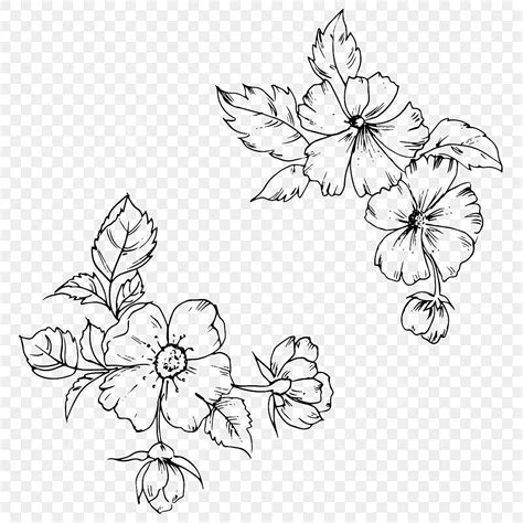 Black And White Flower Outline