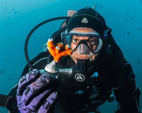 D Couverte De Coral Guardian Via For The Planet