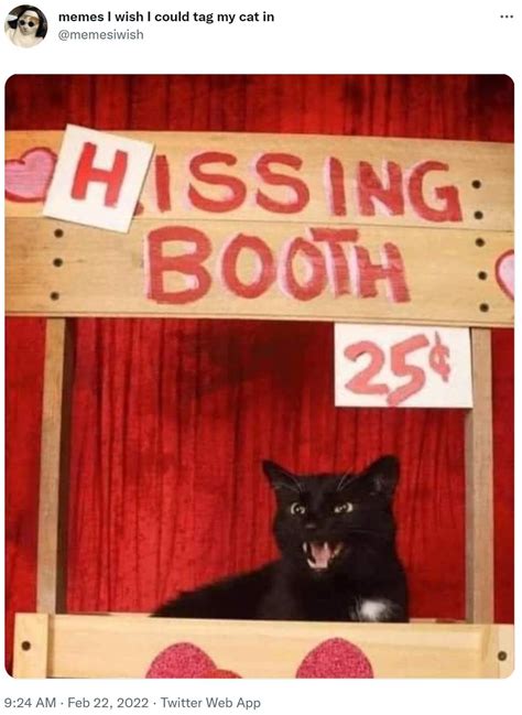Hissing Booth Memes I Wish I Could Tag My Cat In Know Your Meme